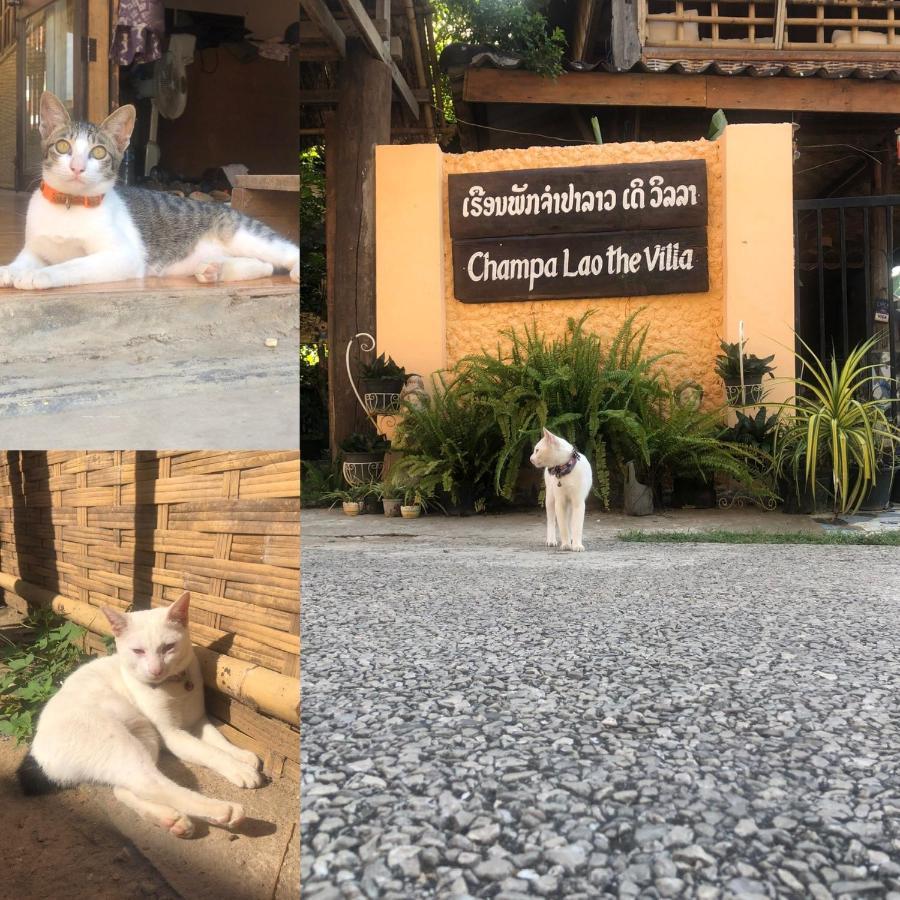 Champalao The Villa Vang Vieng Exteriör bild